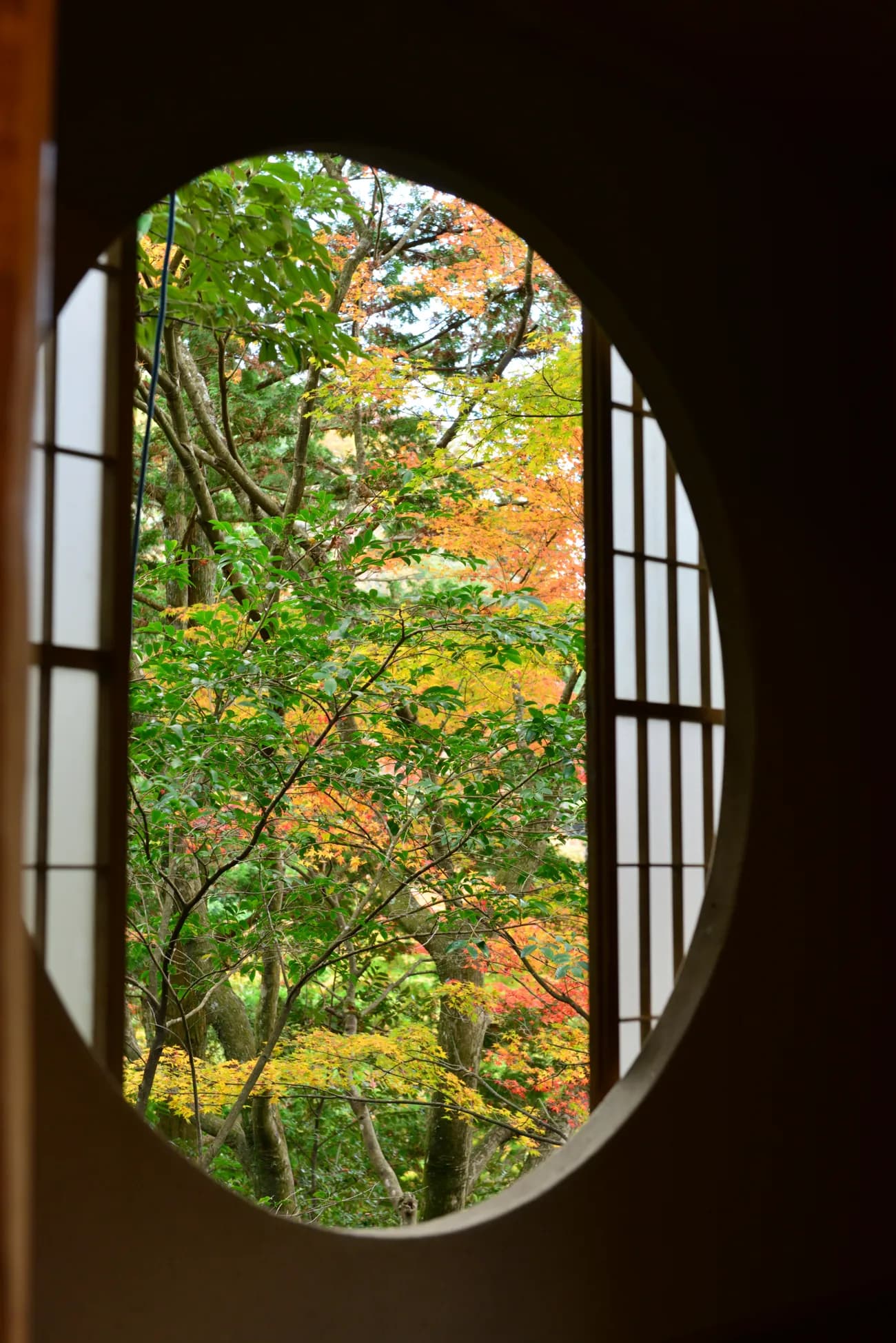 A round tea-house window looking onto autumn maples